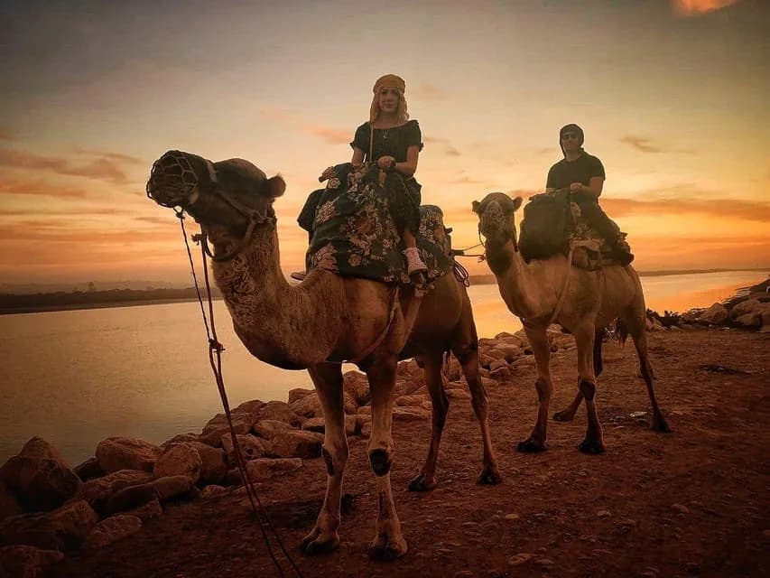 Camello al atardecer cerca de Agadir