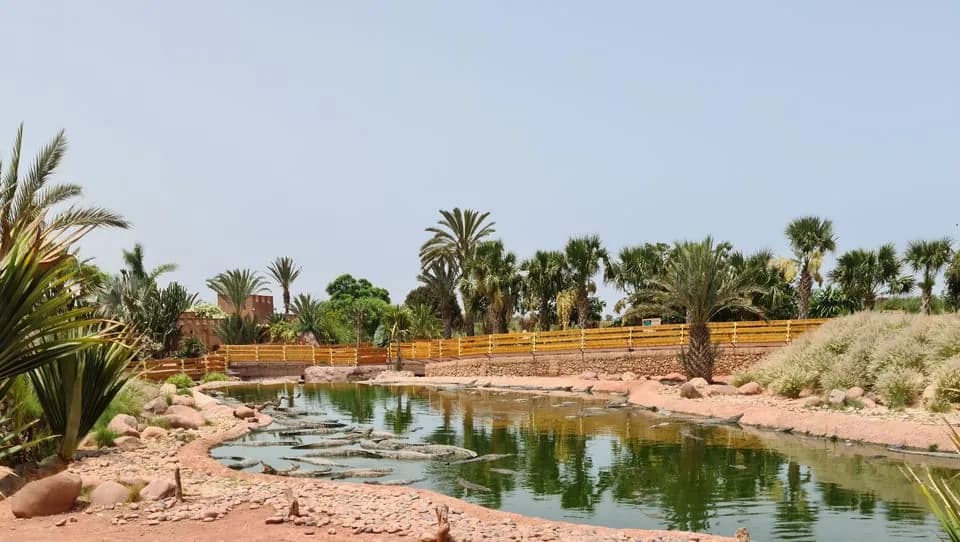 Agadir Crocoparc mit Guide