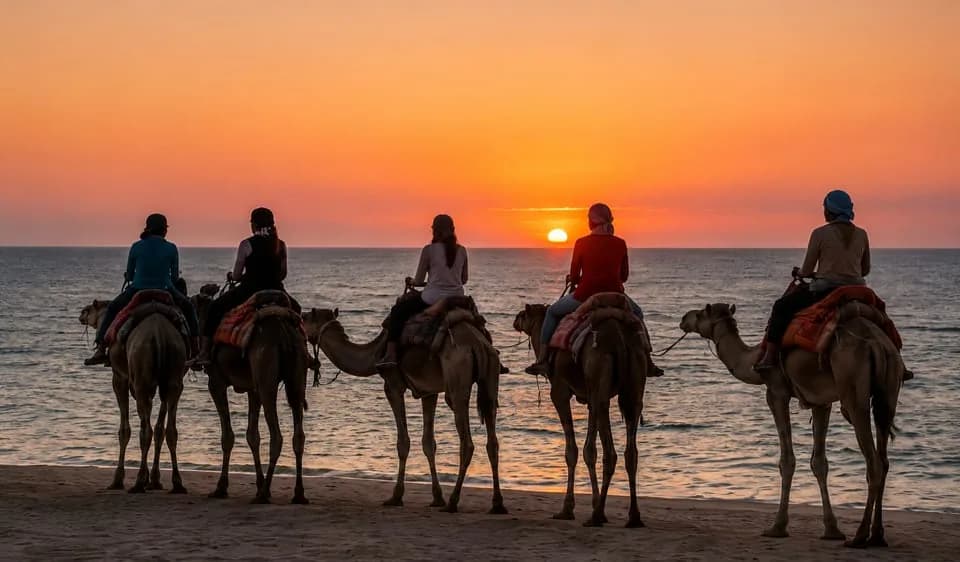 Kamelritt bei Sonnenuntergang in Dakhla