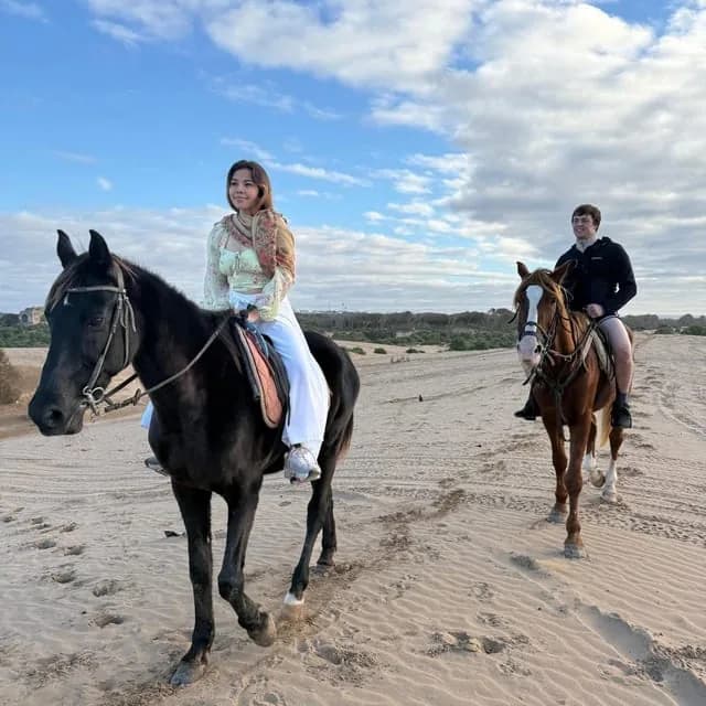 Caballo en la playa atlántica de Essaouira