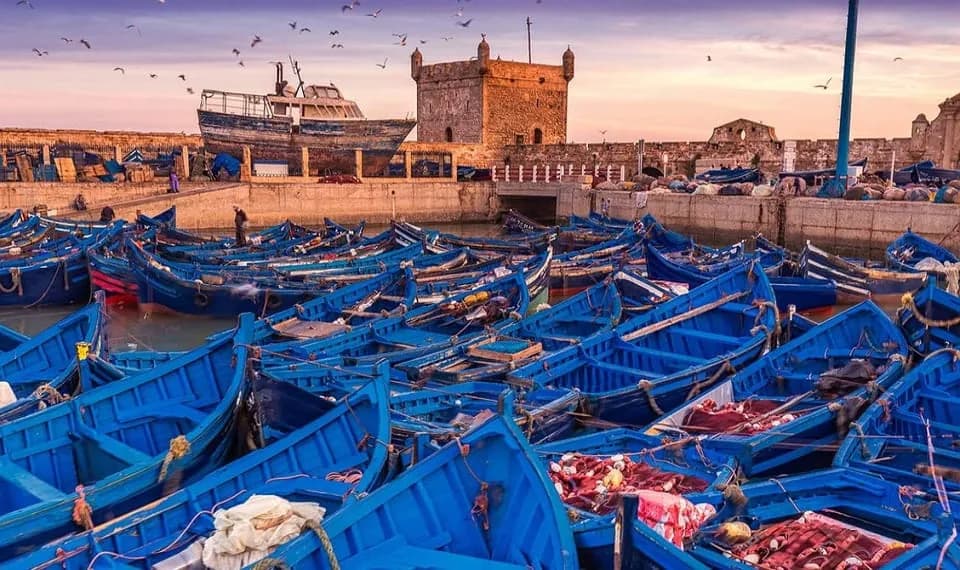 Essaouira coast and medina
