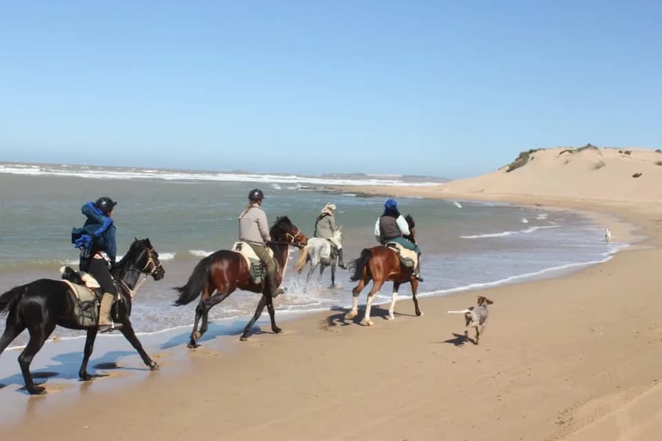 Paseo a caballo en la playa de Essaouira