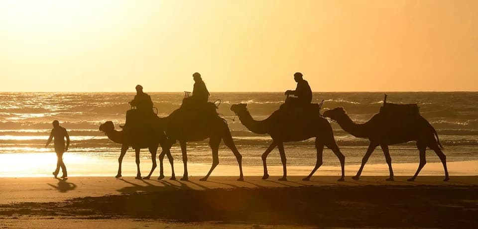Kamelritt am Strand von Essaouira
