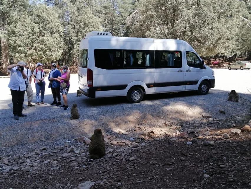Ifrane-Nationalpark im Mittleren Atlas