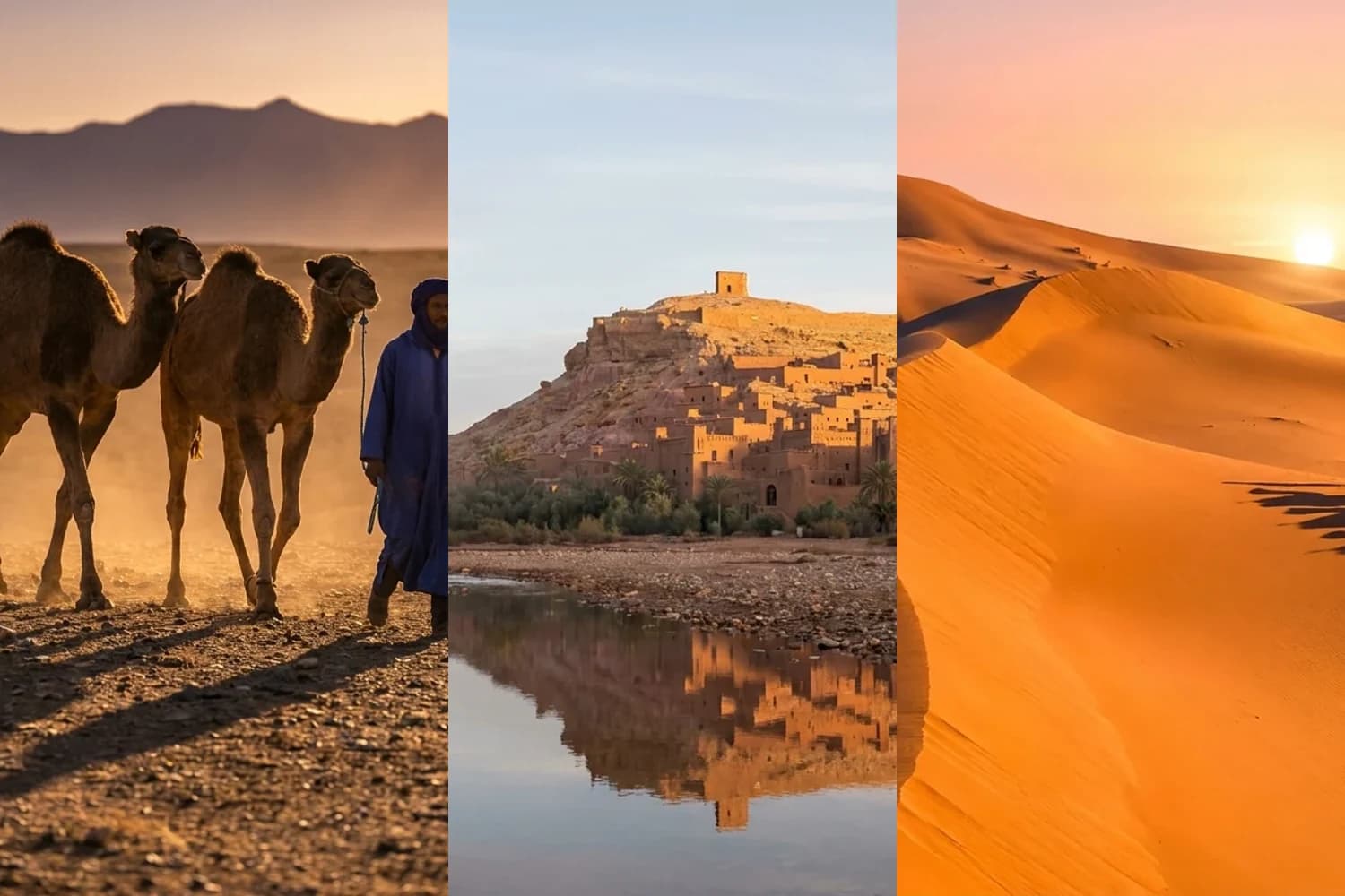 Which Desert to Choose in Morocco? Agafay, Zagora or Merzouga (2026)