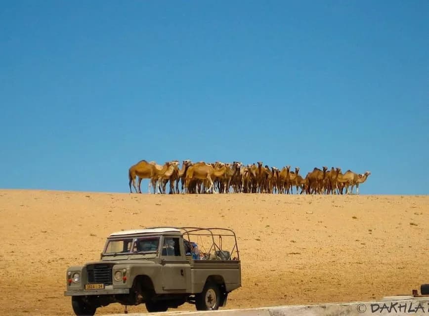 واحة إمليلي قرب الداخلة
